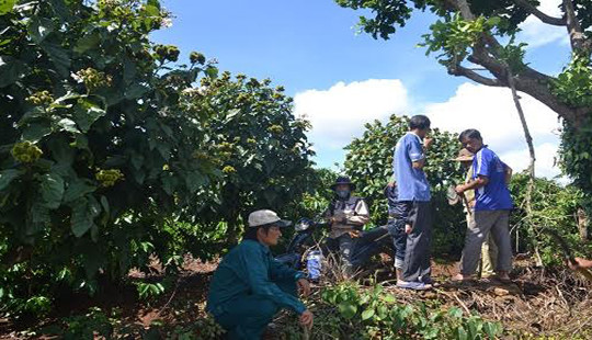Truy bắt nghi phạm hiếp, giết bé gái 7 tuổi