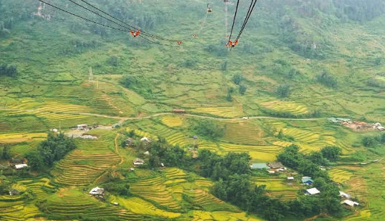 Thung lũng Mường Hoa đẹp rực rỡ mùa lúa chín