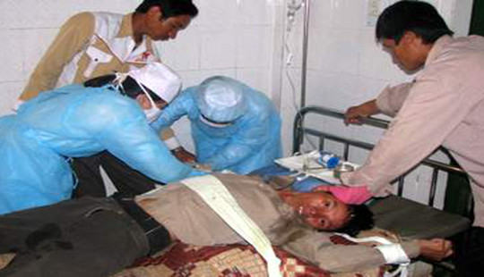 Nghệ An: Nỗi lo ổ dịch bệnh dại bùng phát