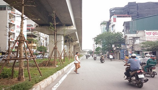 Hà Nội: Trồng cây xanh dưới gầm đường sắt trên cao