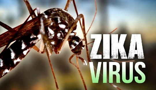 Việt Nam ghi nhận thêm 2 trường hợp nhiễm mới vi rút Zika