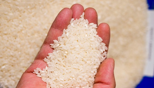 Gạo Việt bị trả về: Lời cảnh báo trước nguy cơ mất thị trường