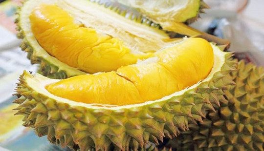 Bà bầu có nên ăn “vua” của mọi loại trái cây?