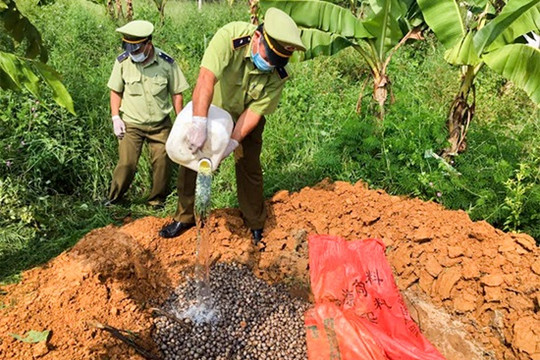 Ngăn thực phẩm bẩn từ biên giới
