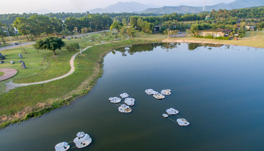 Lạc vào không gian nghệ thuật cùng “Art In The Forest”