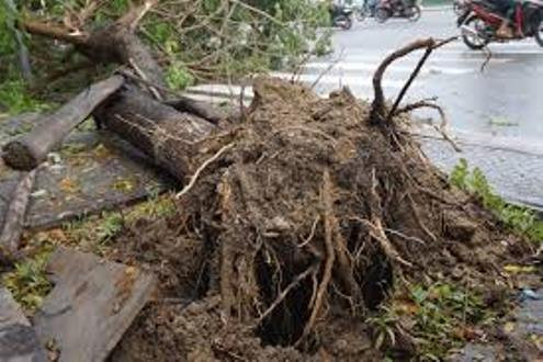 TT-Huế: Thiệt hại sau mưa lũ ước tính gần 13 tỷ đồng