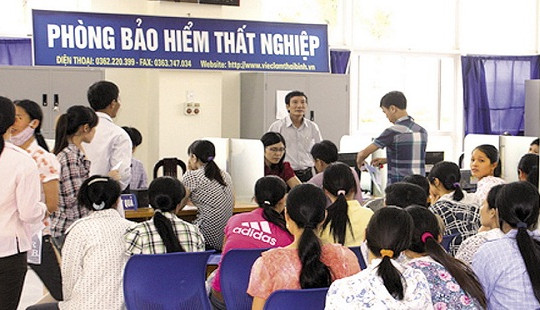 Lao động tự do có được đóng bảo hiểm thất nghiệp?