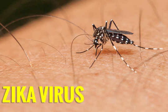 Phát hiện trường hợp nhiễm virus Zika đầu tiên ở Bà Rịa - Vũng Tàu
