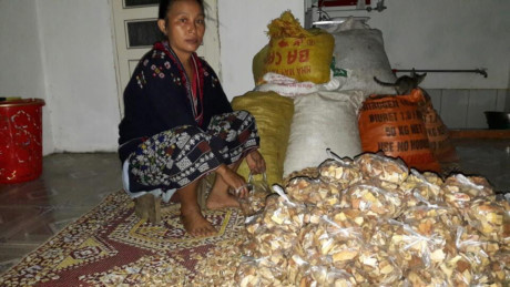 Mát gan, thải độc, xua tan nỗi lo bệnh trĩ nhờ bài thuốc dân tộc quý hiếm