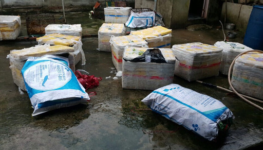 Bình Dương phát hiện 600kg lợn sữa bốc mùi hôi thối