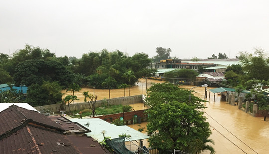 Bị điện giật tử vong trong lúc bắt heo dọn lũ