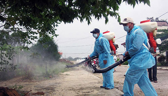 TP.HCM: Xác định 139 trường hợp nhiễm Zika