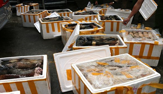 Hà Tĩnh: Phát hiện hơn một tấn chân trâu bò hôi thối