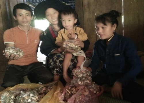 Phục hồi chức năng gan, xua tan nỗi lo bị viêm xoang, trĩ nhờ bài thuốc quý