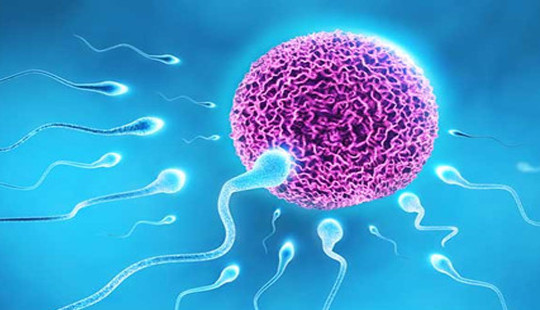 8 điều chưa biết về tinh trùng nam giới