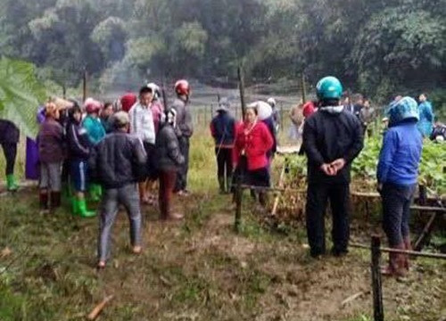 Đi chặt bương, người đàn ông bị điện giật tử vong