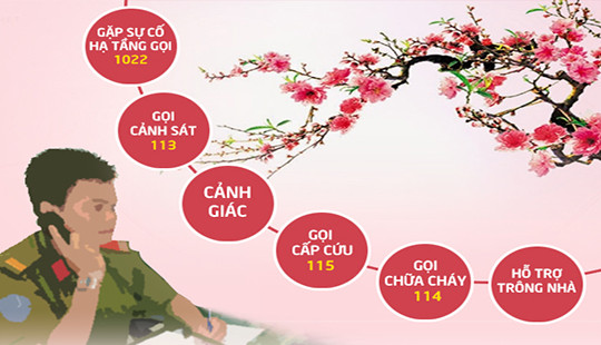 Infographic: Gặp trường hợp khẩn cấp ngày Tết, gọi số nào?