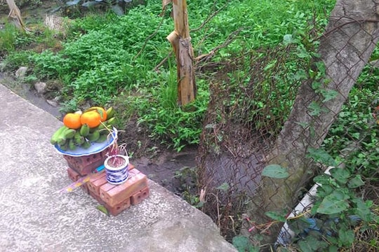 3 anh em giết hàng xóm vì để trâu vào vườn rau