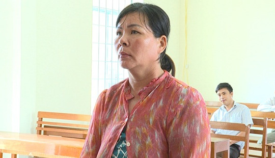 Sinh liền tù tì 10 đứa con để tránh thi hành án
