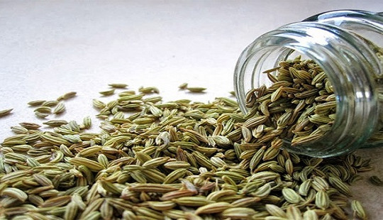 Hạt thì là chữa trào ngược dạ dày thực quản