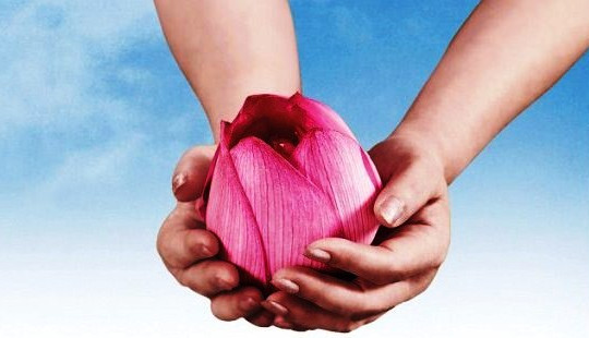 TH School: Giáo dục toàn diện, đào tạo thế hệ công dân toàn cầu