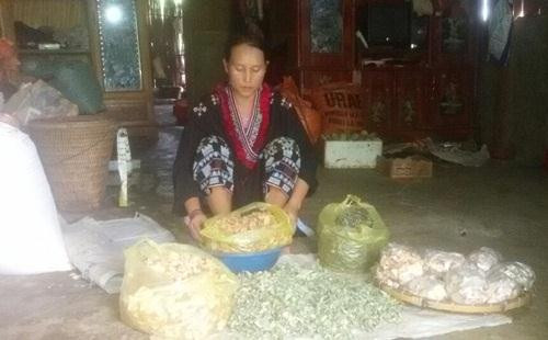Độc đáo 30 vị thuốc trong bài thuốc  quý của nữ lương y người dân tộc