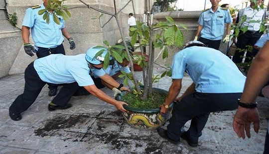 Dẹp vỉa hè: Phó chủ tịch phường bị đánh gãy tay