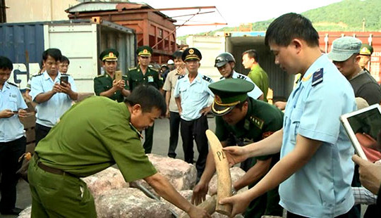 Phòng, chống buôn bán động, thực vật hoang dã trái pháp luật