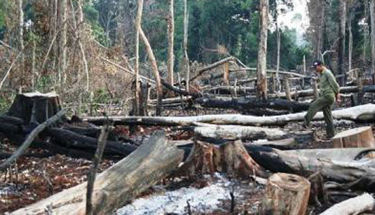 Khởi tố nguyên Đội trưởng Đội phòng chống khủng bố về tội “hủy hoại rừng”
