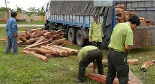 Quảng Bình: Bắt giữ lái xe đổ gỗ xuống đường nhắm trốn tội