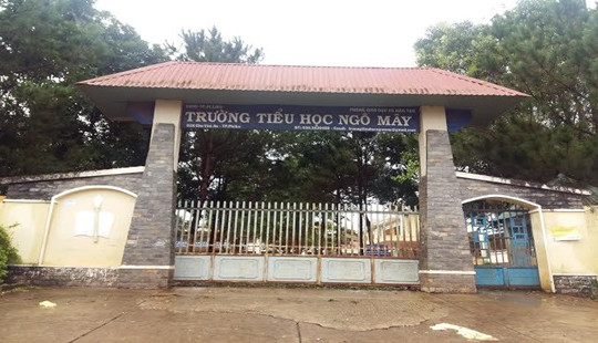 Gia Lai: Trường tiểu học Ngô Mây sai phạm liên tiếp, Ban giám hiệu rút kinh nghiệm!?