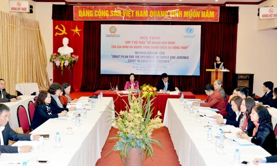 Tiếp tục nghiên cứu, thành lập Tòa gia đình và người chưa thành niên