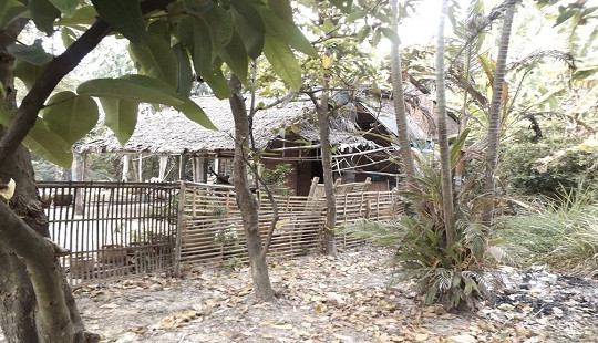 Điều tra vụ bé gái 11 tuổi tố ông nội và cha ruột xâm hại tình dục