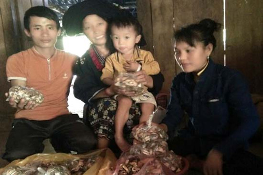 Lương y Phan Thị Diện có biệt tài "tán sỏi thành bột" bằng bài thuốc gia truyền
