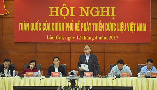 Thủ tướng: Phát triển dược liệu để nâng cao mức sống của người dân