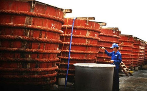 "Vụ nước mắm nhiễm Arsen": Cách chức Phó Tổng thư ký VINASTAS