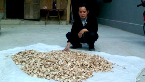 Chia sẻ “tuyệt chiêu” chữa bệnh dạ dày