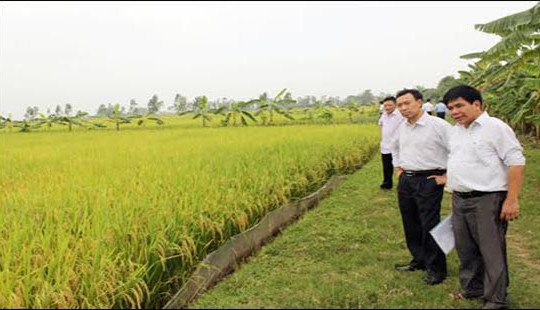 Huyện Ân Thi - Hưng Yên: Bước đột phá mới trong phát triển kinh tế xã hội