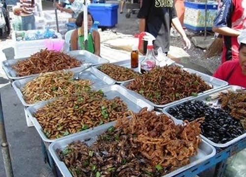 Rùng mình chuyện côn trùng "lên ngôi" trên bàn nhậu