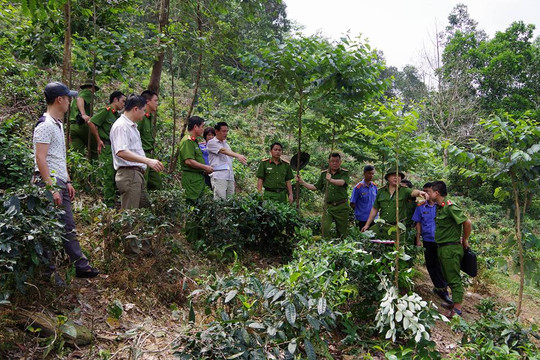 Bắt nghi phạm sát hại người phụ nữ, trói tay vào gốc cây