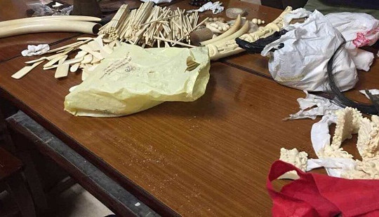 Hà Nội: Bắt “trùm sỏ” chuyên buôn bán động vật hoang dã quý hiếm