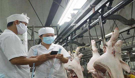 “Giải cứu” chính sách