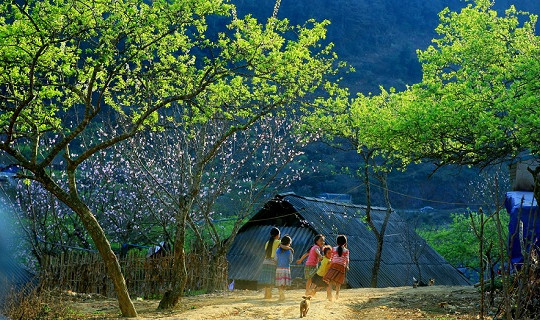 Quy hoạch Khu du lịch quốc gia Mộc Châu