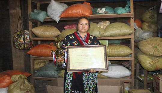 Tài chữa đau xương khớp, gout, dạ dày... của lương y Triệu Thị Lĩu