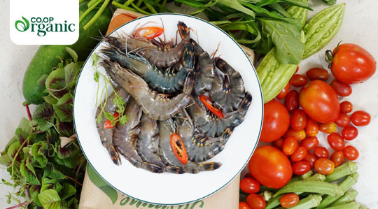 Hiện tượng sản phẩm organic “xịn” cháy hàng ở Co.opmart