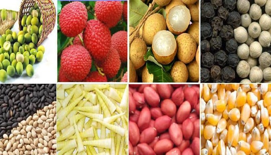 Xuất khẩu nông sản 5 tháng ước đạt 7,3 tỷ USD