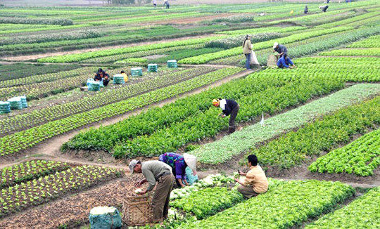 Huyện Tam Nông, tỉnh Phú Thọ: Kinh tế - xã hội phát triển nhờ kết hợp “lòng dân, ý Đảng”
