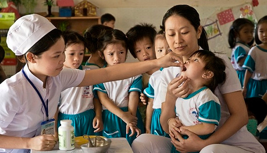 Vi chất dinh dưỡng giúp nâng cao sức khỏe, trí tuệ