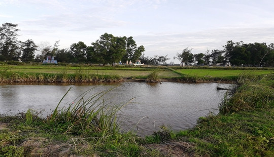 Quảng Trị: Học sinh lớp 9 tử vong do điện giật
