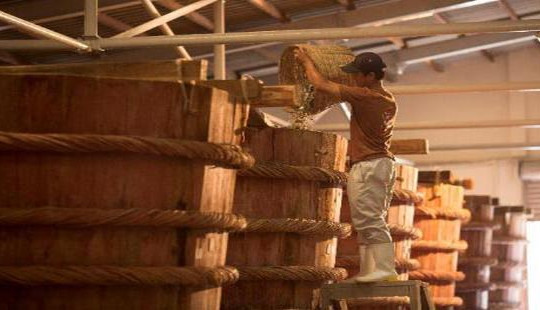 Nam Ngư – nhãn hiệu gia vị hàng đầu được tin chọn bởi hàng triệu gia đình Việt